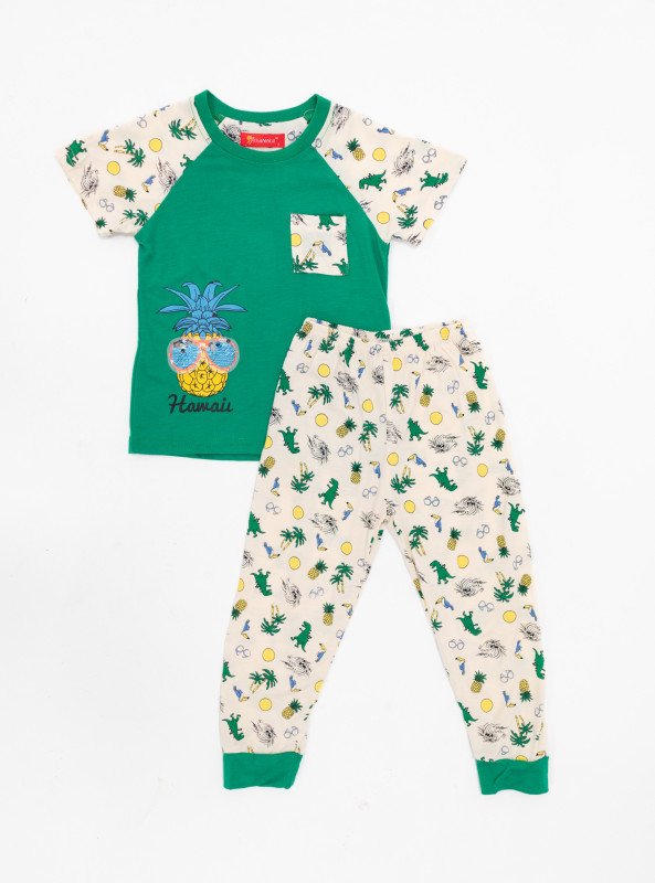 Boys' Hawaii Pineapple Pajama Set – Tropical Print Tee & Fun Graphic Pants - Green